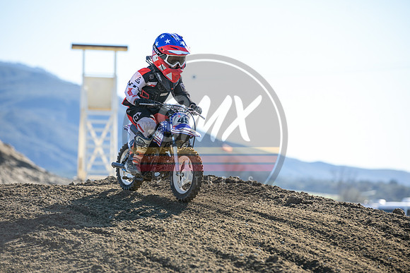 SMX_PICTURES_Moto4Kids_Thriller_Beezzz_Series_R1_FoxRaceway_1-23-22-119