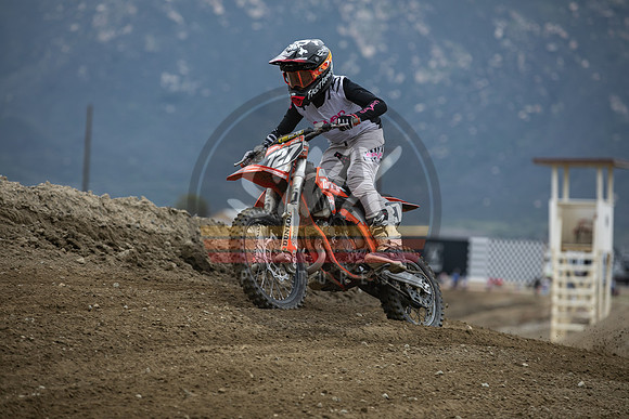 SMXPICTURES_Moto4Kids_Thriller Beezz_R2_Fox Raceway_3-19-23-1293