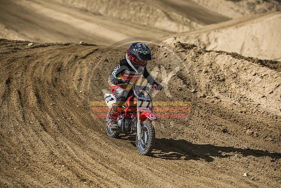 SMX_PICTURES_Moto4Kids_ThrillerBeezzzSeries_R3_LACR_3-13-22-280