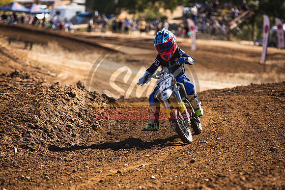 SMX_PICTURES_Moto4Kids_R4_Barona_11-14-21-166