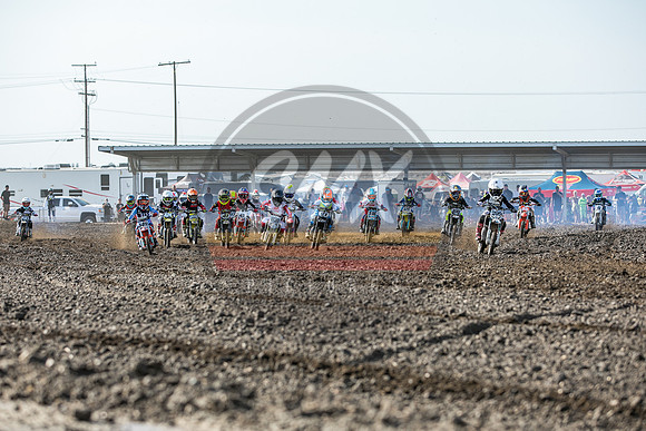 SMXPICTURES_Moto4Kids_RadRidersSeries_R2_DT1_9-18-22-70