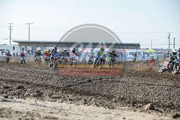 SMXPICTURES_Moto4Kids_RadRidersSeries_R2_DT1_9-18-22-73