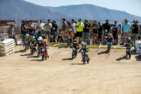 SMX_PICTURES_AME_Minicross_Stacyc_Cup_7-17-21-003