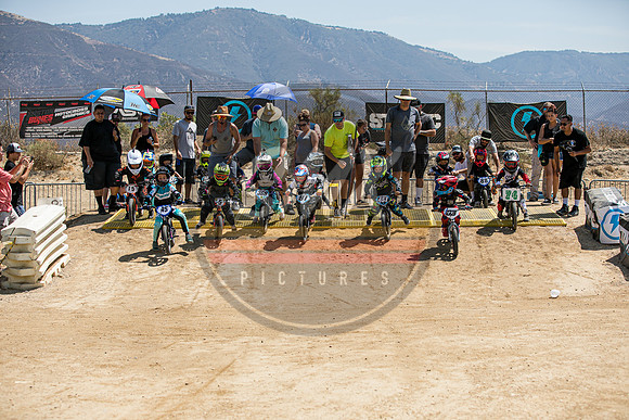 SMX_PICTURES_AME_Minicross_Stacyc_Cup_7-17-21-141