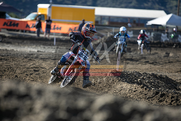 SMXPICTURES_Moto4Kids_Youth_Moto_Mania_2-4-23-187