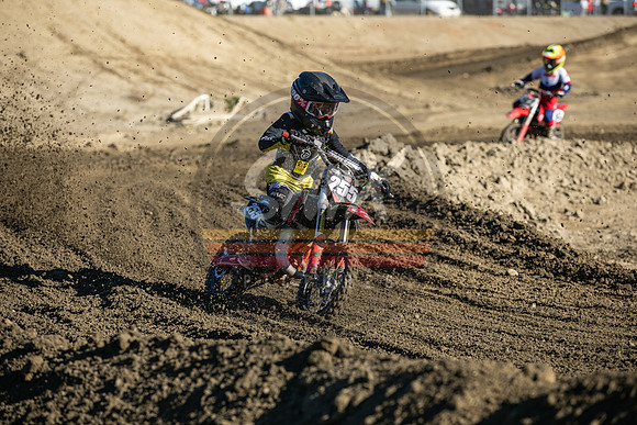 SMXPICTURES_Moto4Kids_RadRiders_R5_FoxRaceway_12-10-22-91
