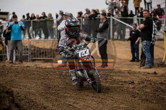 SMX_PICTURES_Swapmoto_ElDorado_Finale_StateFair_AmTrack_3-14-21-0169