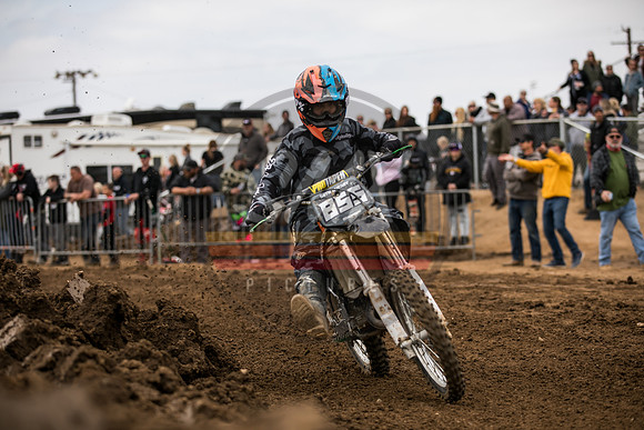 SMX_PICTURES_Swapmoto_ElDorado_Finale_StateFair_AmTrack_3-14-21-0269