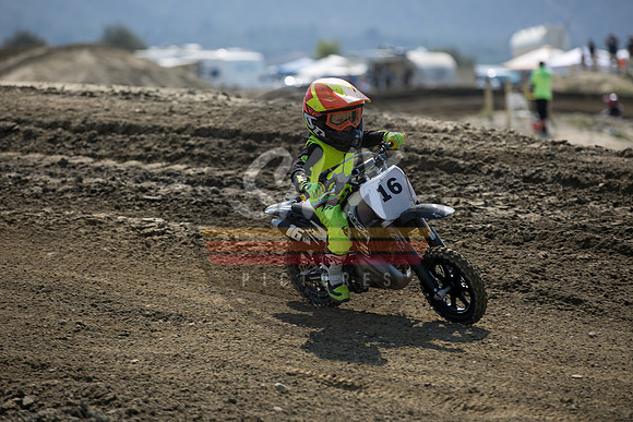 SMX_PICTURES_Moto4Kids_Finale_FoxRaceway_7-11-21-0088