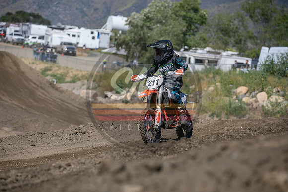 SMXPICTURES_Moto4Kids_ThrillerBeezz_R4_FoxRaceway_5-7-23-107