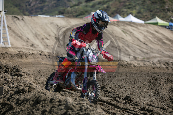 SMXPICTURES_Moto4Kids_ThrillerBeezz_R4_FoxRaceway_5-7-23-45