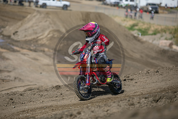 SMXPICTURES_Moto4Kids_ThrillerBeezz_R4_FoxRaceway_5-7-23-62