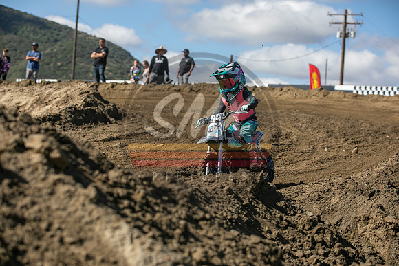 SMXPICTURES_Moto4Kids_ThrillerBeezz_R4_FoxRaceway_5-7-23-18