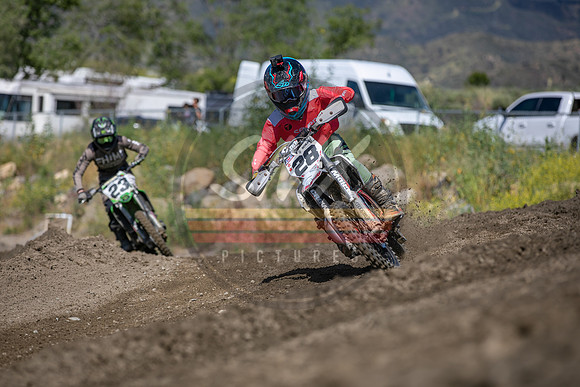 SMXPICTURES_Moto4Kids_ThrillerBeezz_R4_FoxRaceway_5-7-23-152