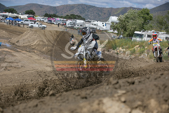 SMXPICTURES_Moto4Kids_ThrillerBeezz_R4_FoxRaceway_5-7-23-103