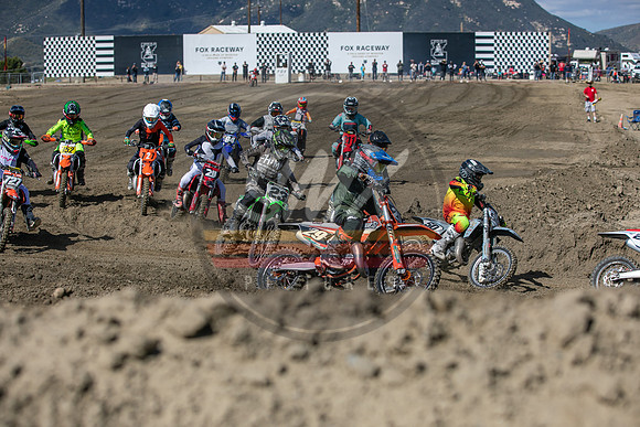 SMXPICTURES_Moto4Kids_ThrillerBeezz_R4_FoxRaceway_5-7-23-92