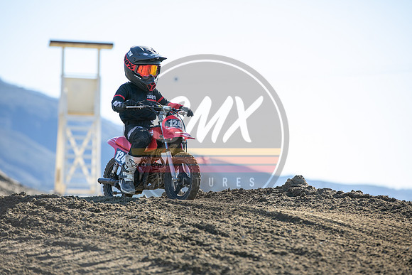 SMX_PICTURES_Moto4Kids_Thriller_Beezzz_Series_R1_FoxRaceway_1-23-22-131
