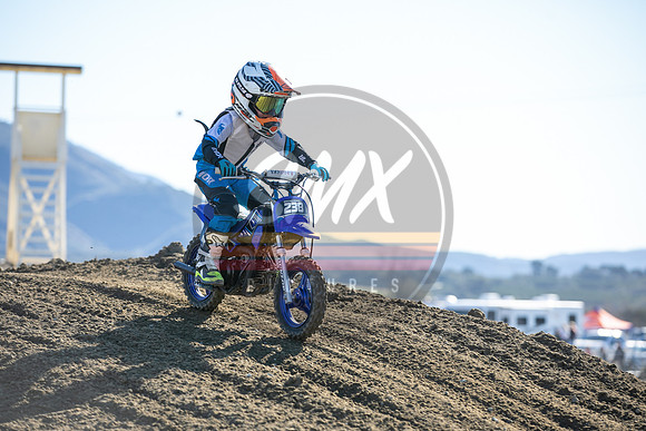 SMX_PICTURES_Moto4Kids_Thriller_Beezzz_Series_R1_FoxRaceway_1-23-22-118