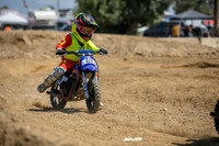 Triple Crown R1 Amateur Track Gallery