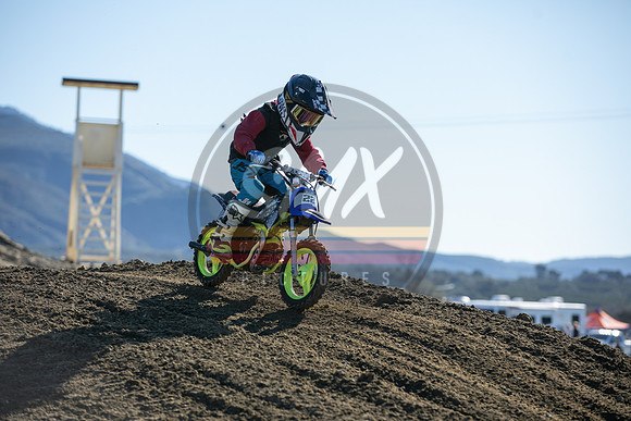 SMX_PICTURES_Moto4Kids_Thriller_Beezzz_Series_R1_FoxRaceway_1-23-22-113