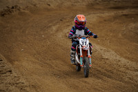 Triple Crown Vet Track Gallery