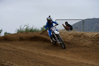 Triple Crown Vet Track Gallery