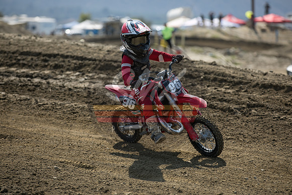 SMX_PICTURES_Moto4Kids_Finale_FoxRaceway_7-11-21-0093