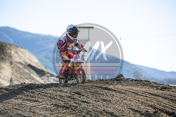 SMX_PICTURES_Moto4Kids_Thriller_Beezzz_Series_R1_FoxRaceway_1-23-22-120