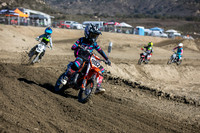 Rad Riders R5 Gallery
