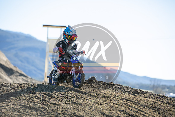 SMX_PICTURES_Moto4Kids_Thriller_Beezzz_Series_R1_FoxRaceway_1-23-22-116