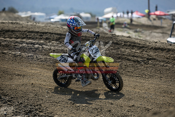 SMX_PICTURES_Moto4Kids_Finale_FoxRaceway_7-11-21-0083