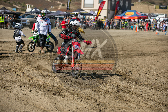 SMXPICTURES_Moto4Kids_SummerSeries_R2_7-13-24-100